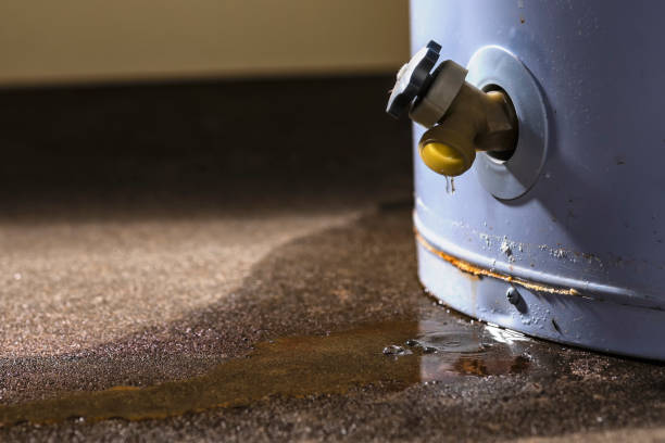 Best Basement water damage restoration  in Newburg, WI