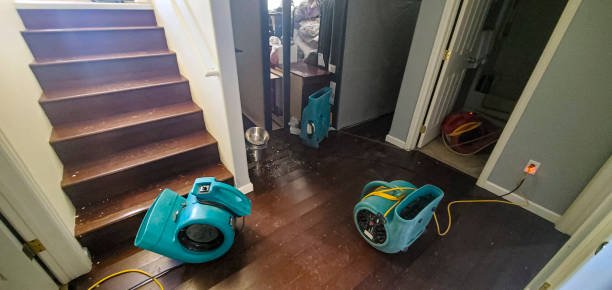 Best Fire Damage Restoration  in Newburg, WI