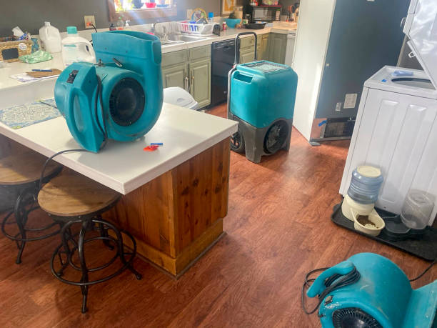  Newburg, WI Water damage restoration Pros