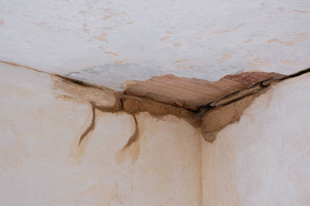 Best Professional water damage repair  in Newburg, WI