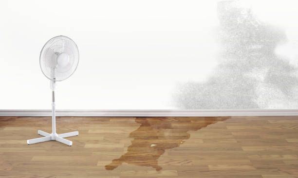 Best Water damage restoration near me  in Newburg, WI