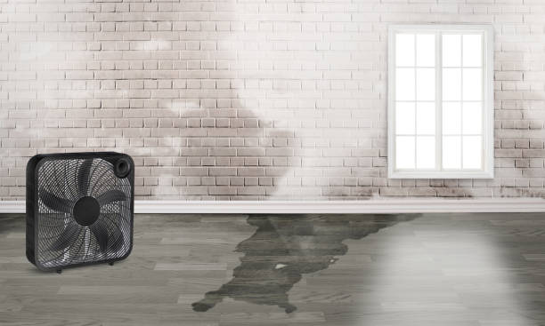 Best Commercial water damage restoration  in Newburg, WI