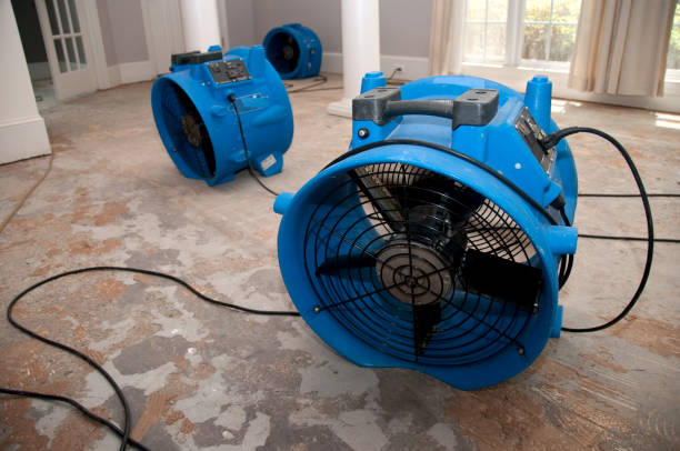 Best Flood restoration services  in Newburg, WI