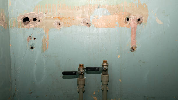 Best Carpet water damage restoration  in Newburg, WI