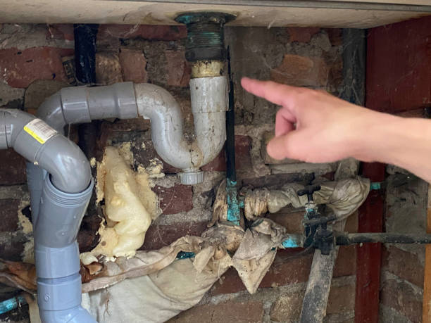 Best Flooded house restoration  in Newburg, WI